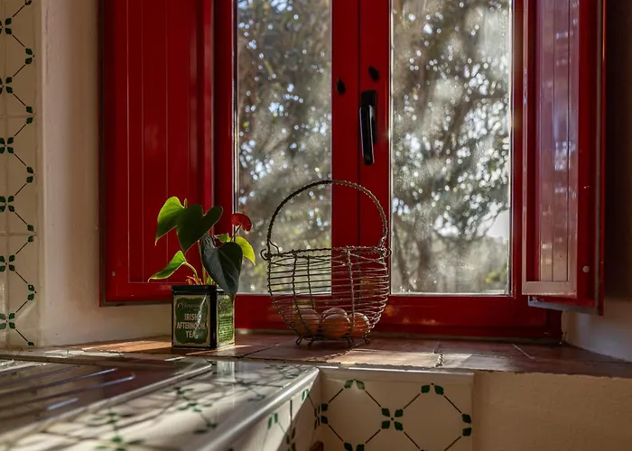 Διαμέρισμα L'incrociata Sassetta